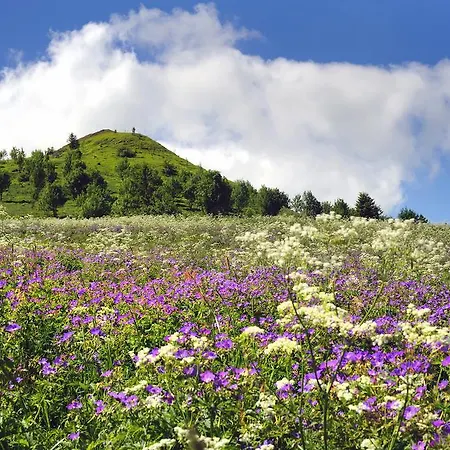 兰道思霍夫瓦瑟库佩酒店 4* 波彭豪森