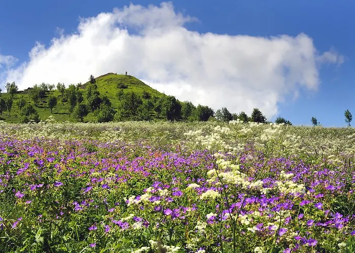 兰道思霍夫瓦瑟库佩酒店 4* 波彭豪森